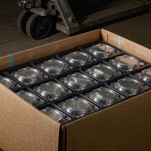 Stamped parts packed in partitioned blister trays